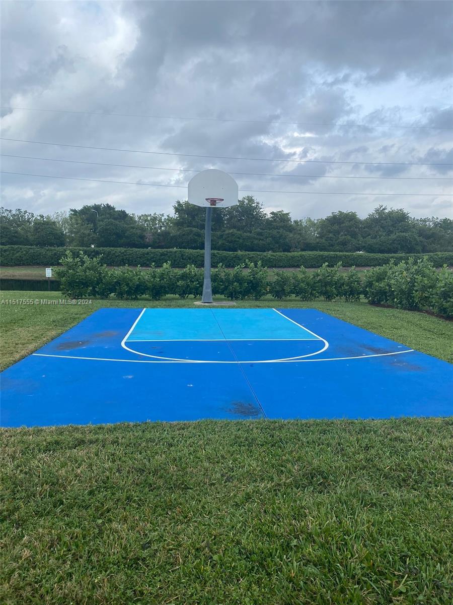 Basketball court