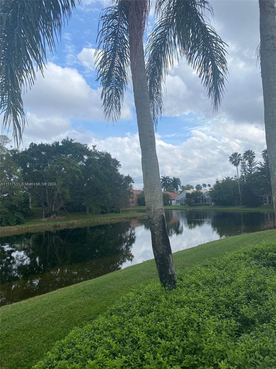 view from community pool