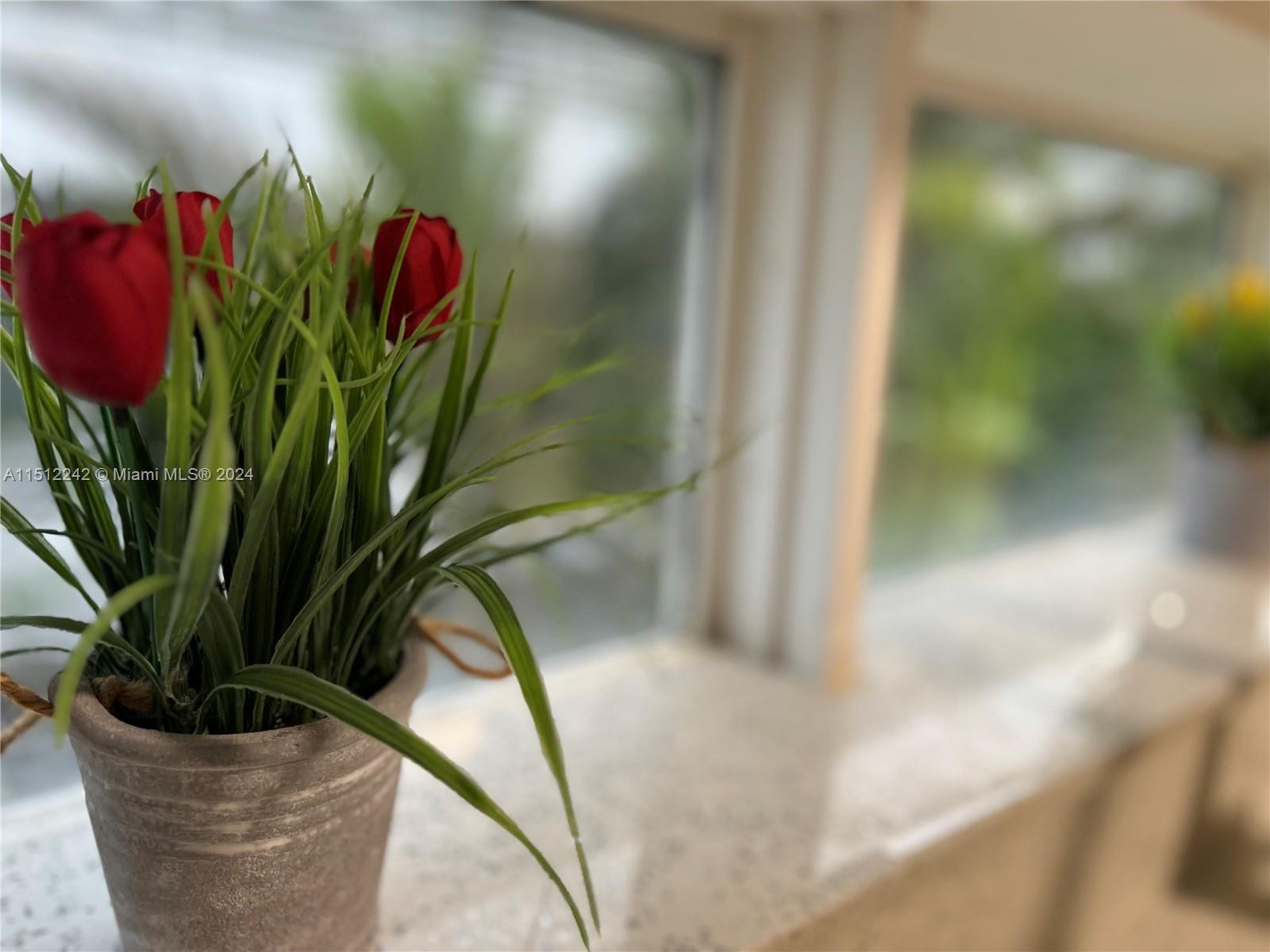 7824 Collins Ave 402, Miami Beach, Florida 33141, 2 Bedrooms Bedrooms, ,2 BathroomsBathrooms,Residentiallease,For Rent,7824 Collins Ave 402,A11512242