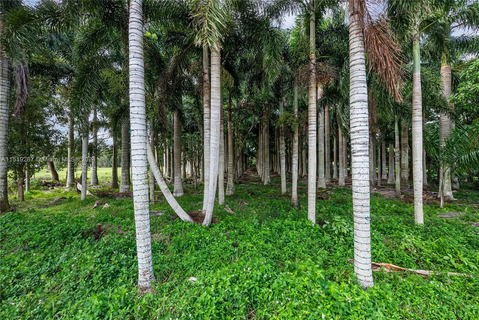 5731 185th Way, Southwest Ranches, FL, 33332 United States, 4 Bedrooms Bedrooms, ,4 BathroomsBathrooms,Residential,For Sale,185th Way,A11519287