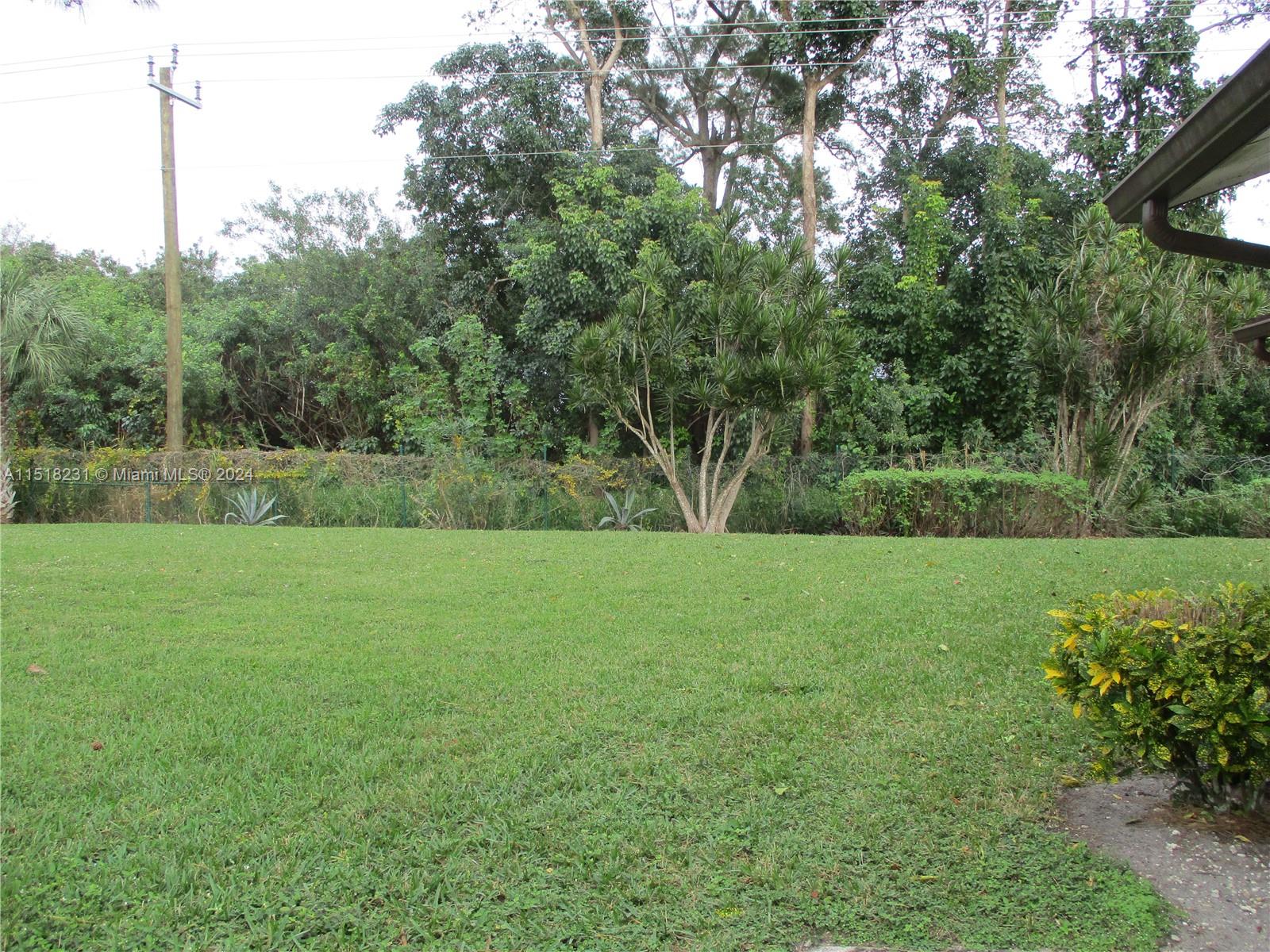 PRIVATE GARDEN VIEW FROM PATIO