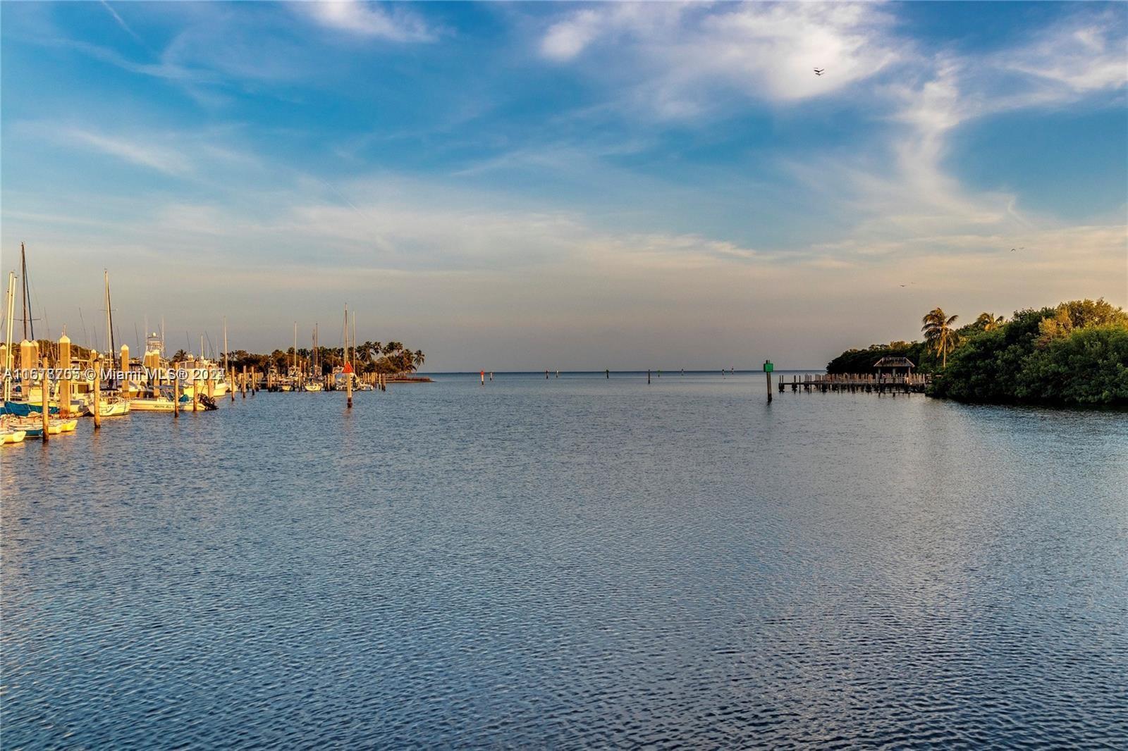 11065 Marin St, Coral Gables, FL, 33156 United States, 6 Bedrooms Bedrooms, ,5 BathroomsBathrooms,Residential,For Sale,Marin St,A11518705