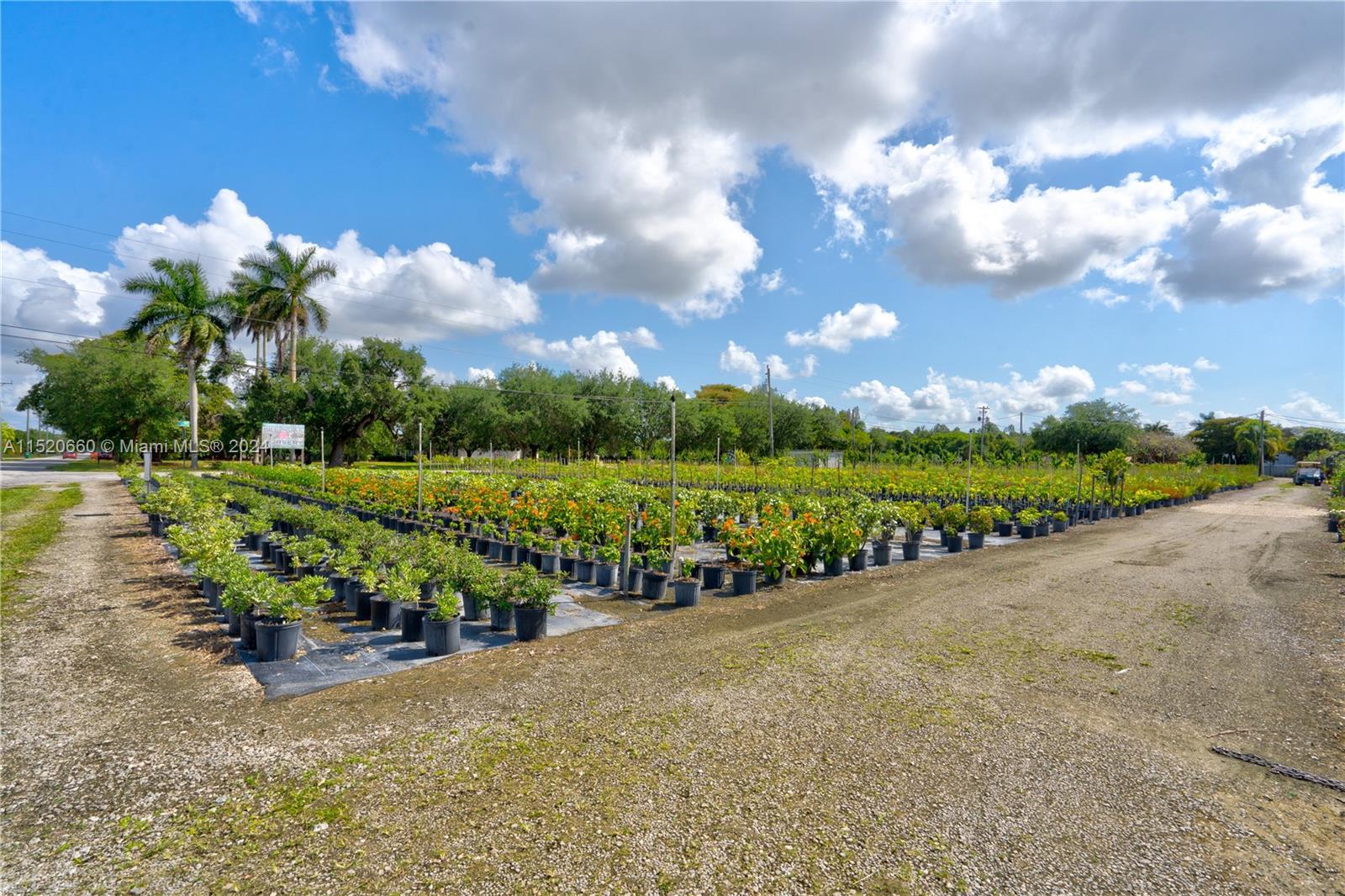 15690 SW 256th St, Homestead, Florida 33032, 3 Bedrooms Bedrooms, ,2 BathroomsBathrooms,Residential,For Sale,15690 SW 256th St,A11520660