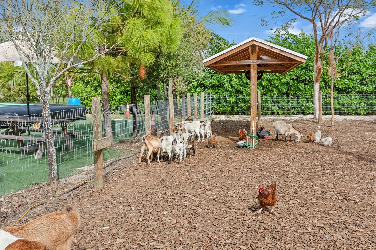 16901 SW KROME, Miami, Florida 33187, ,Commercialsale,For Sale,16901 SW KROME,A11520611