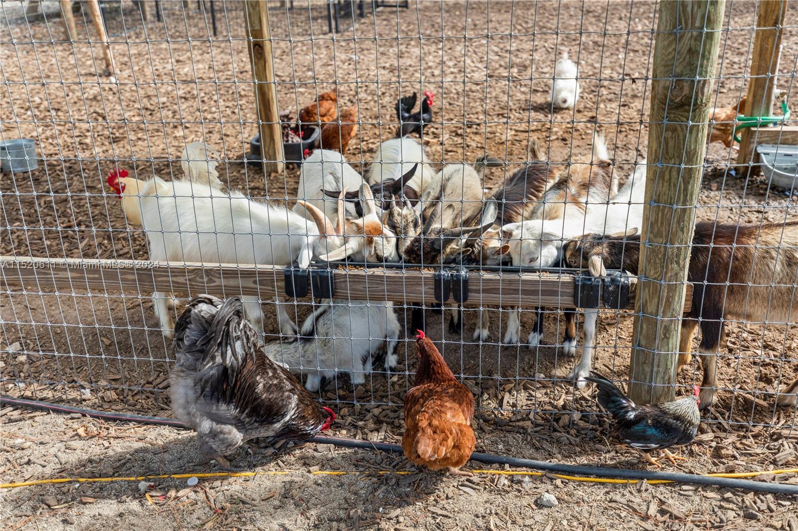 16901 SW KROME, Miami, Florida 33187, ,Commercialsale,For Sale,16901 SW KROME,A11520611