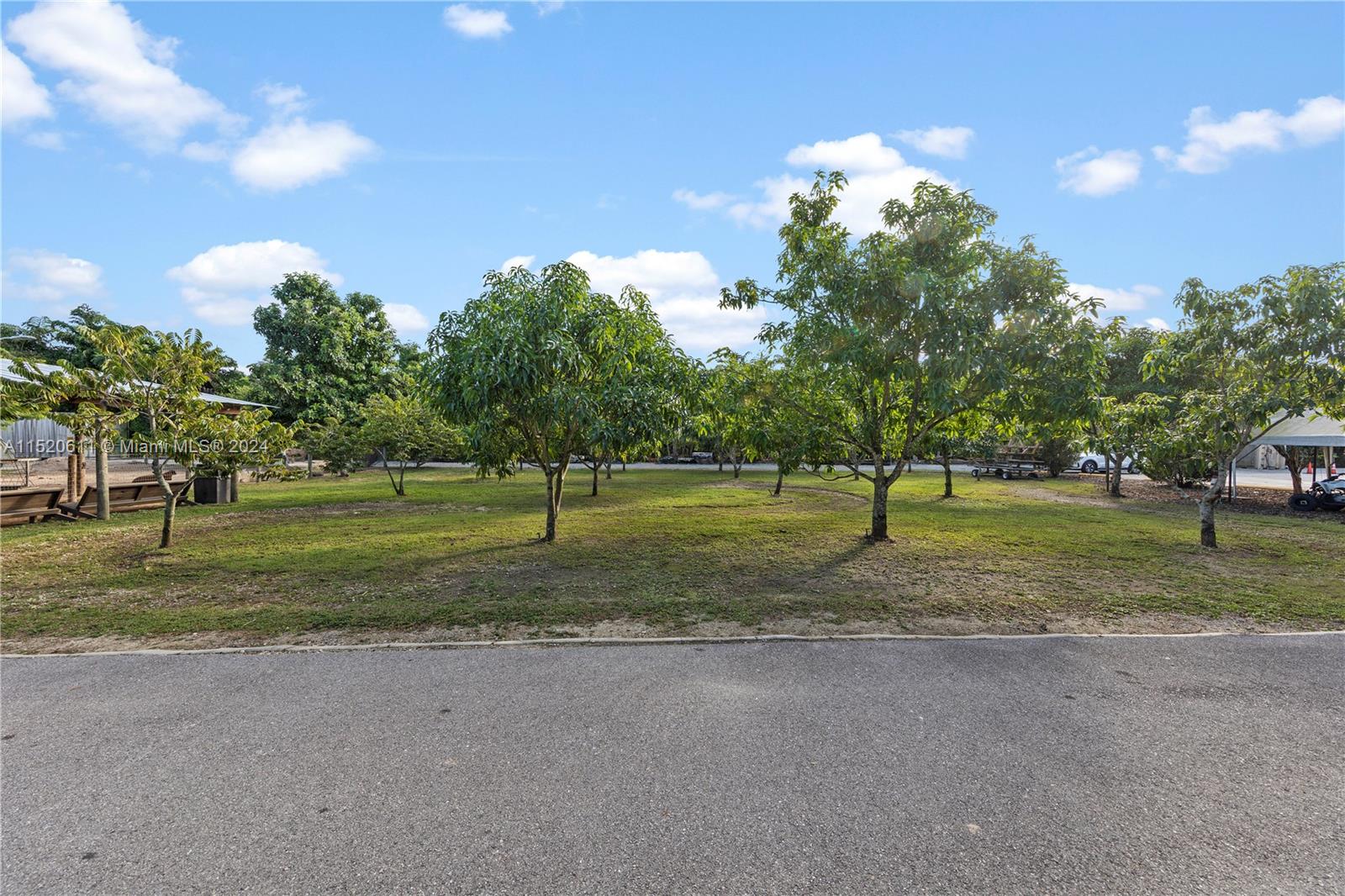 ORGANIC FRUIT TREES..