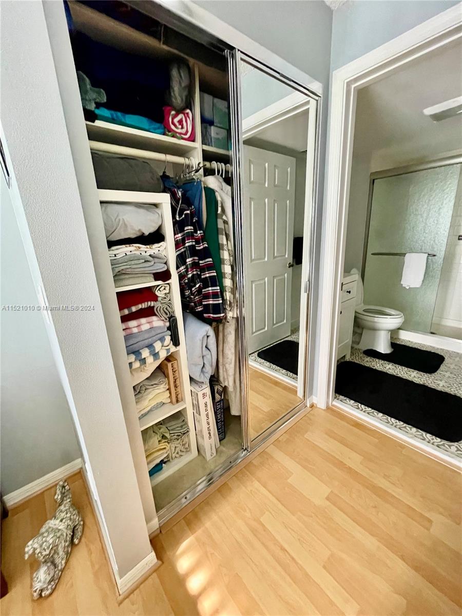 Hallway closet leading into master bath