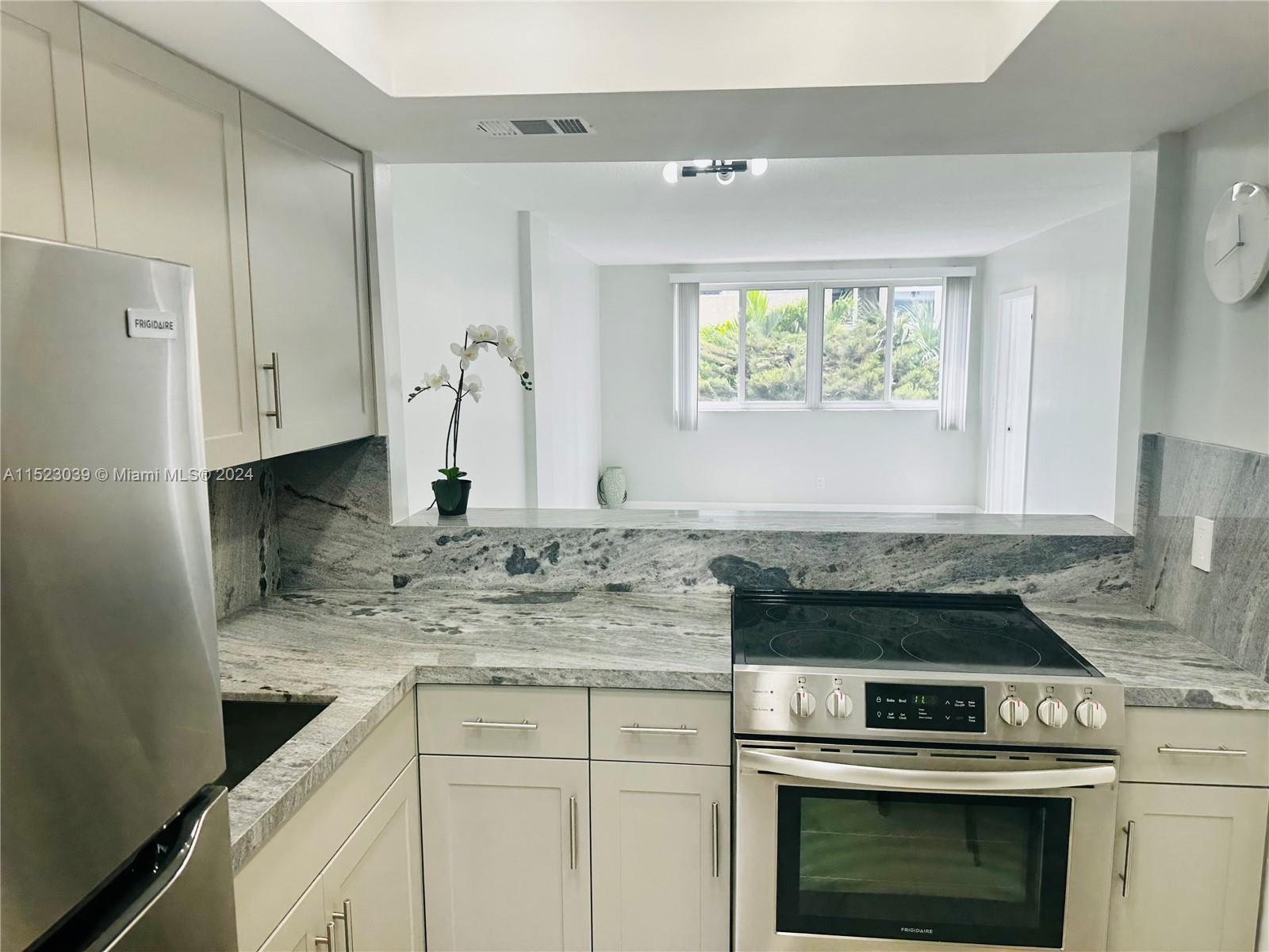 1333 E Hallandale Beach Blvd 302, Hallandale Beach, Florida 33009, 1 Bedroom Bedrooms, ,1 BathroomBathrooms,Residentiallease,For Rent,1333 E Hallandale Beach Blvd 302,A11523039