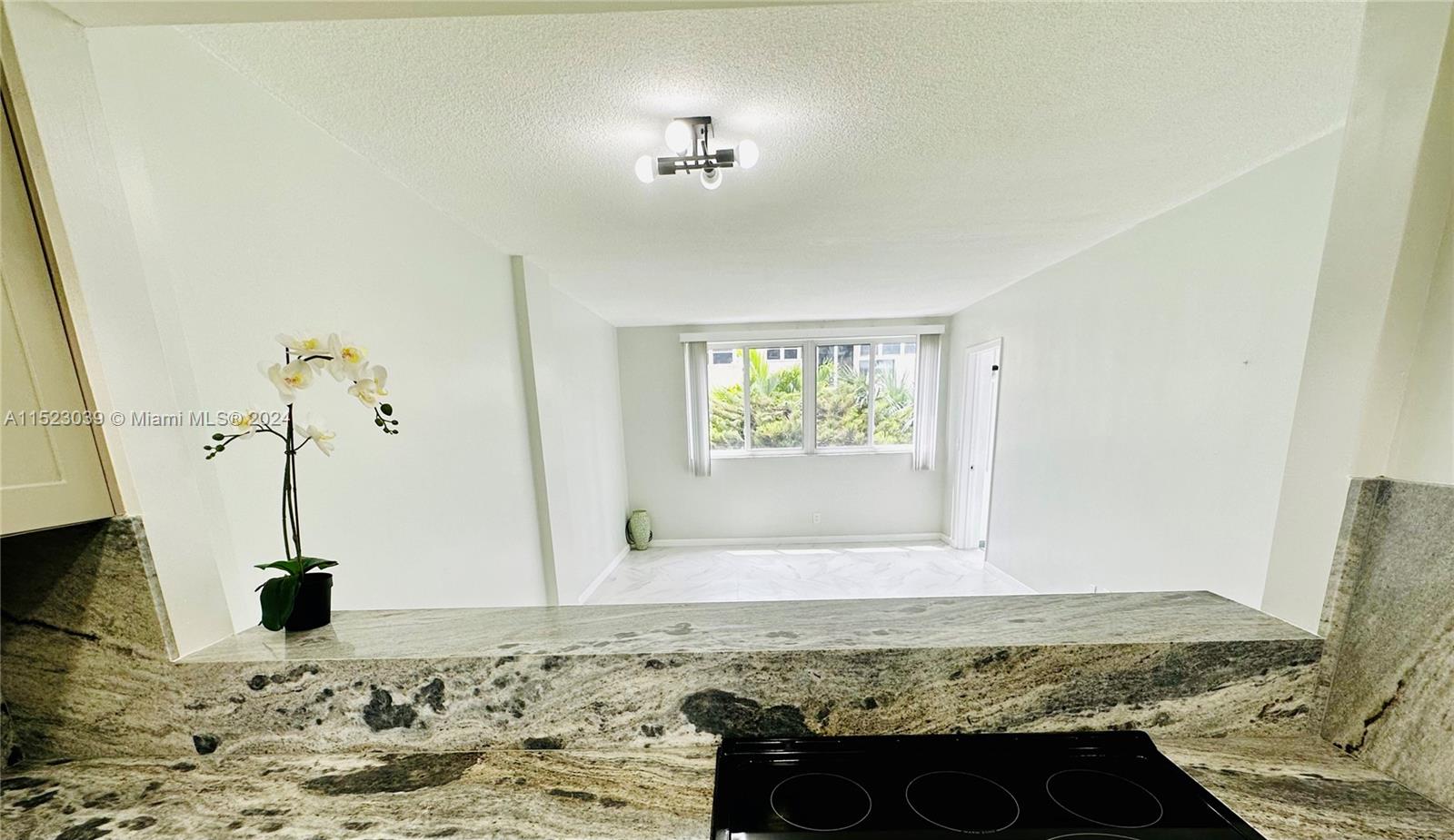 1333 E Hallandale Beach Blvd 302, Hallandale Beach, Florida 33009, 1 Bedroom Bedrooms, ,1 BathroomBathrooms,Residentiallease,For Rent,1333 E Hallandale Beach Blvd 302,A11523039
