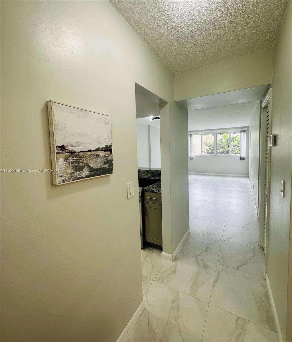 1333 E Hallandale Beach Blvd 302, Hallandale Beach, Florida 33009, 1 Bedroom Bedrooms, ,1 BathroomBathrooms,Residentiallease,For Rent,1333 E Hallandale Beach Blvd 302,A11523039