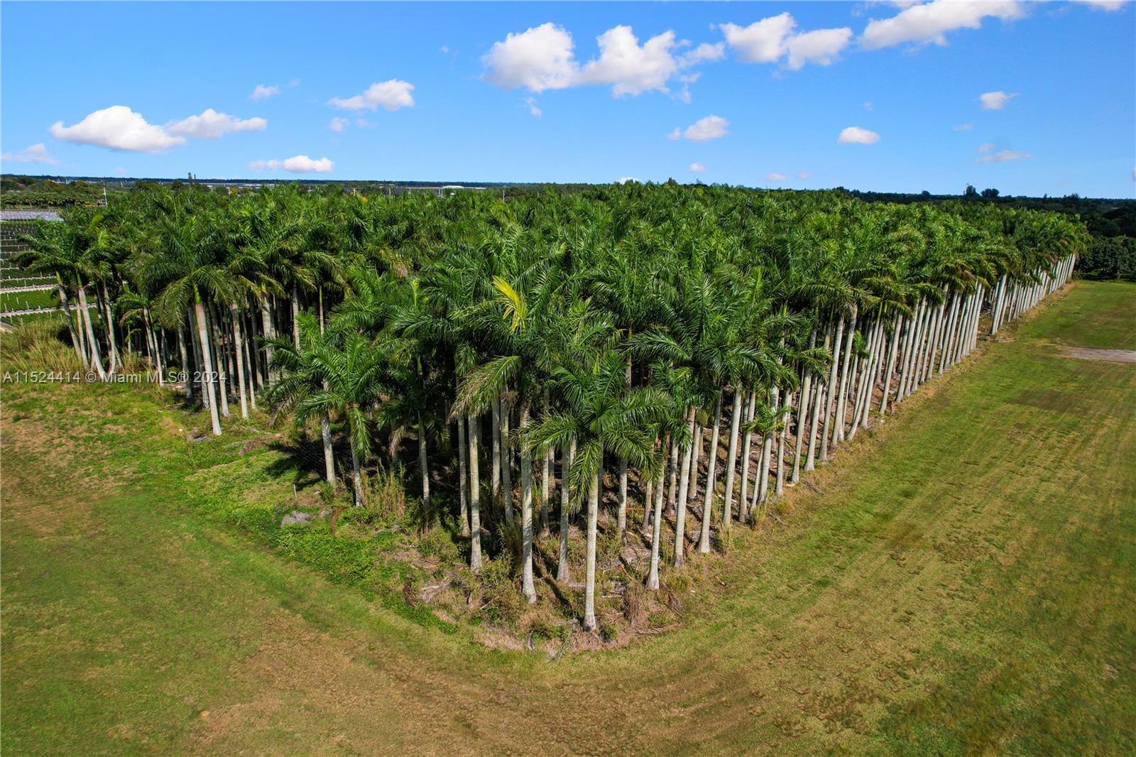 22100 SW 194th Ave, Miami, Florida 33170, 3 Bedrooms Bedrooms, ,2 BathroomsBathrooms,Residential,For Sale,22100 SW 194th Ave,A11524414