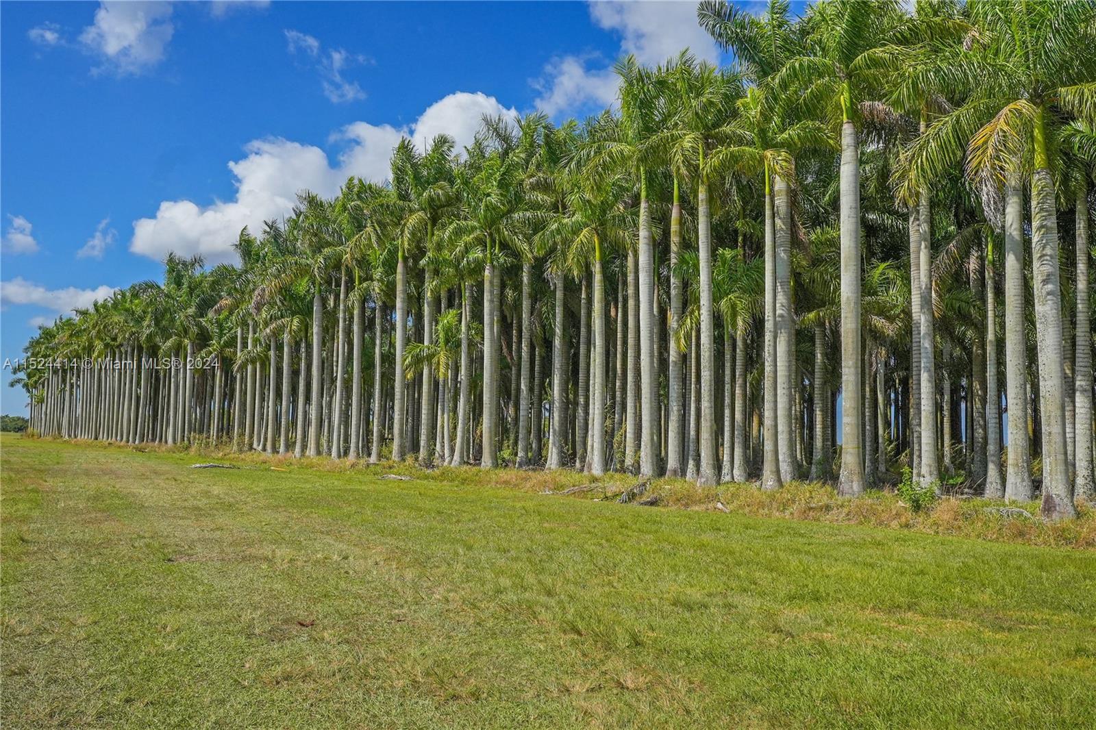 22100 SW 194th Ave, Miami, Florida 33170, 3 Bedrooms Bedrooms, ,2 BathroomsBathrooms,Residential,For Sale,22100 SW 194th Ave,A11524414