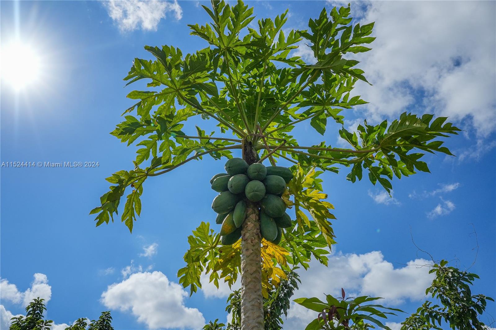 22100 194th Ave, Miami, FL, 33170 United States, 3 Bedrooms Bedrooms, ,2 BathroomsBathrooms,Residential,For Sale,194th Ave,A11524414