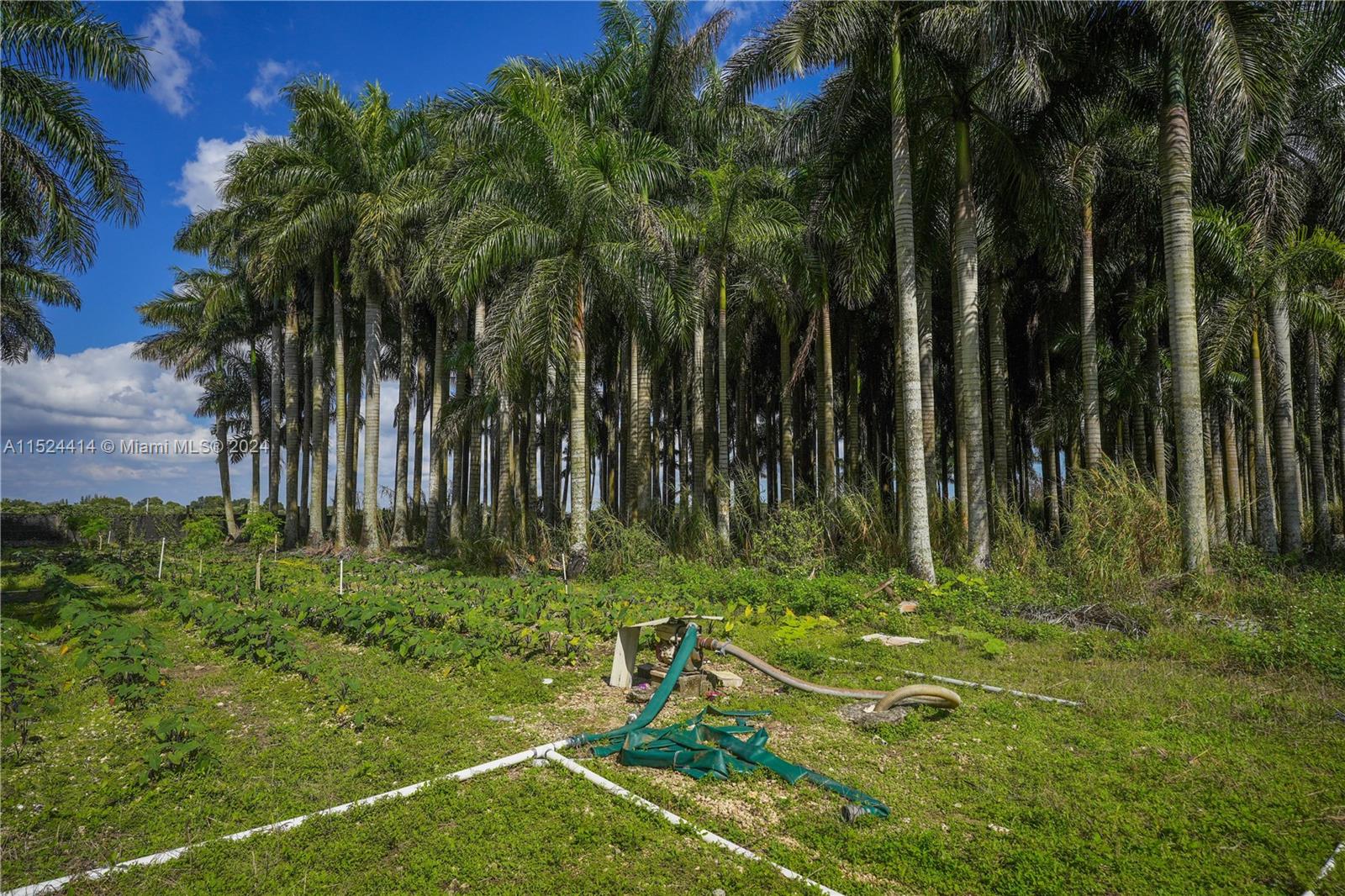 22100 194th Ave, Miami, FL, 33170 United States, 3 Bedrooms Bedrooms, ,2 BathroomsBathrooms,Residential,For Sale,194th Ave,A11524414