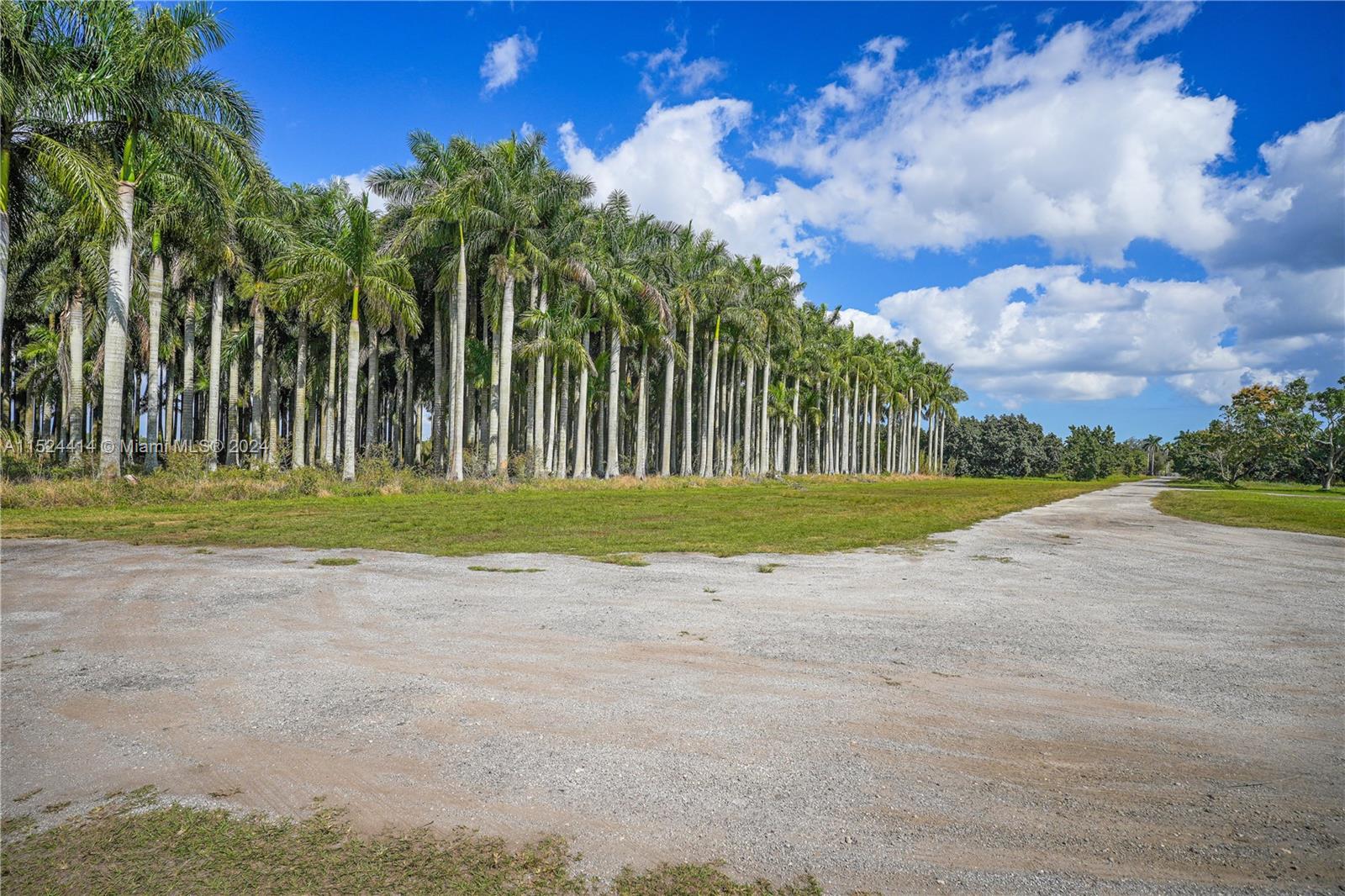 22100 SW 194th Ave, Miami, Florida 33170, 3 Bedrooms Bedrooms, ,2 BathroomsBathrooms,Residential,For Sale,22100 SW 194th Ave,A11524414