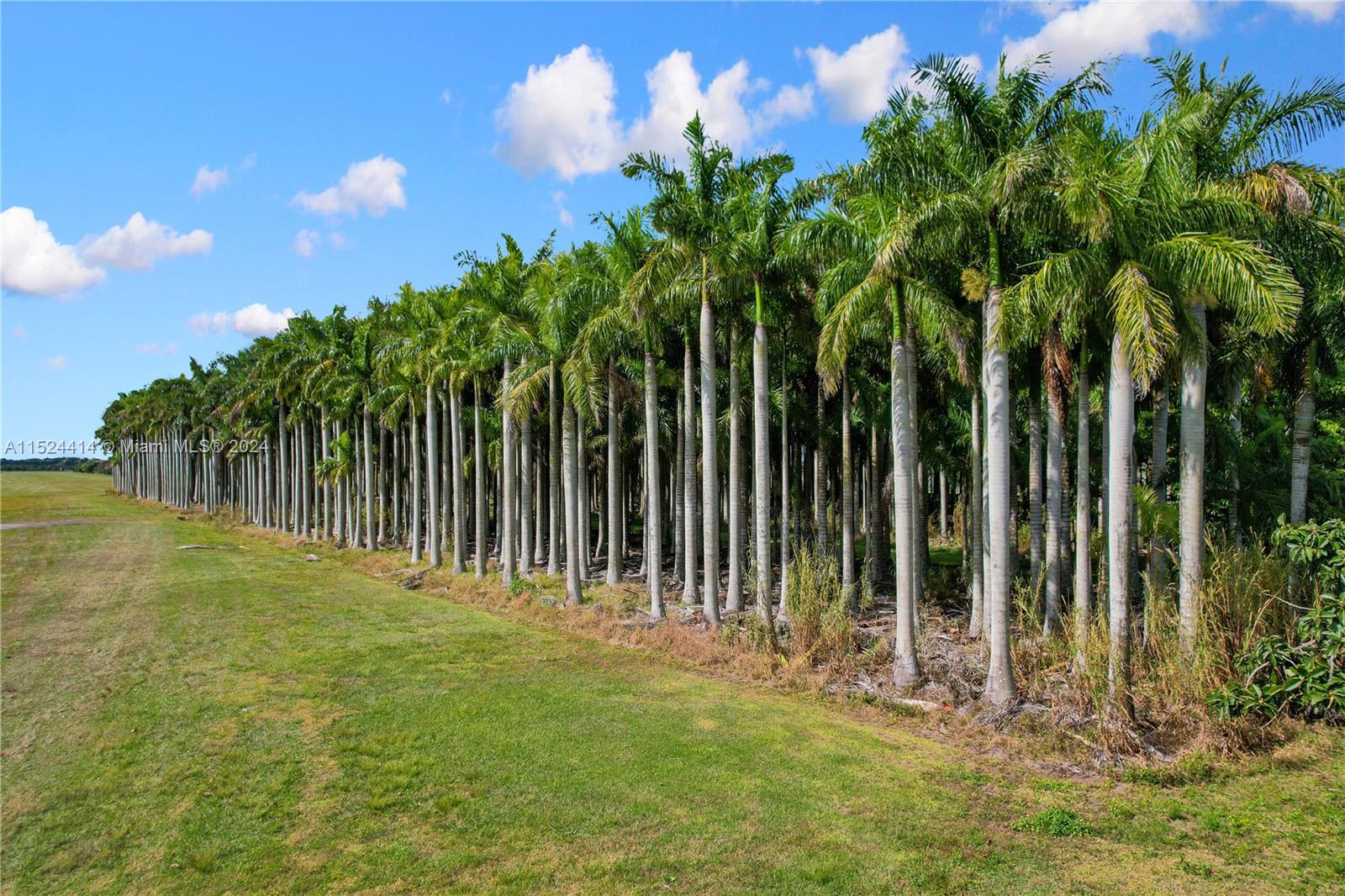 22100 194th Ave, Miami, FL, 33170 United States, 3 Bedrooms Bedrooms, ,2 BathroomsBathrooms,Residential,For Sale,194th Ave,A11524414