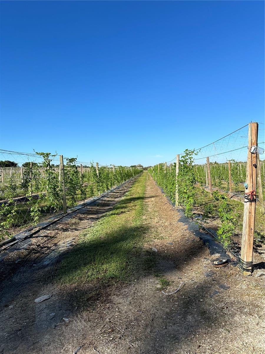 12201 SW 280 St, Homestead, Florida 33033, ,Land,For Sale,12201 SW 280 St,A11523831