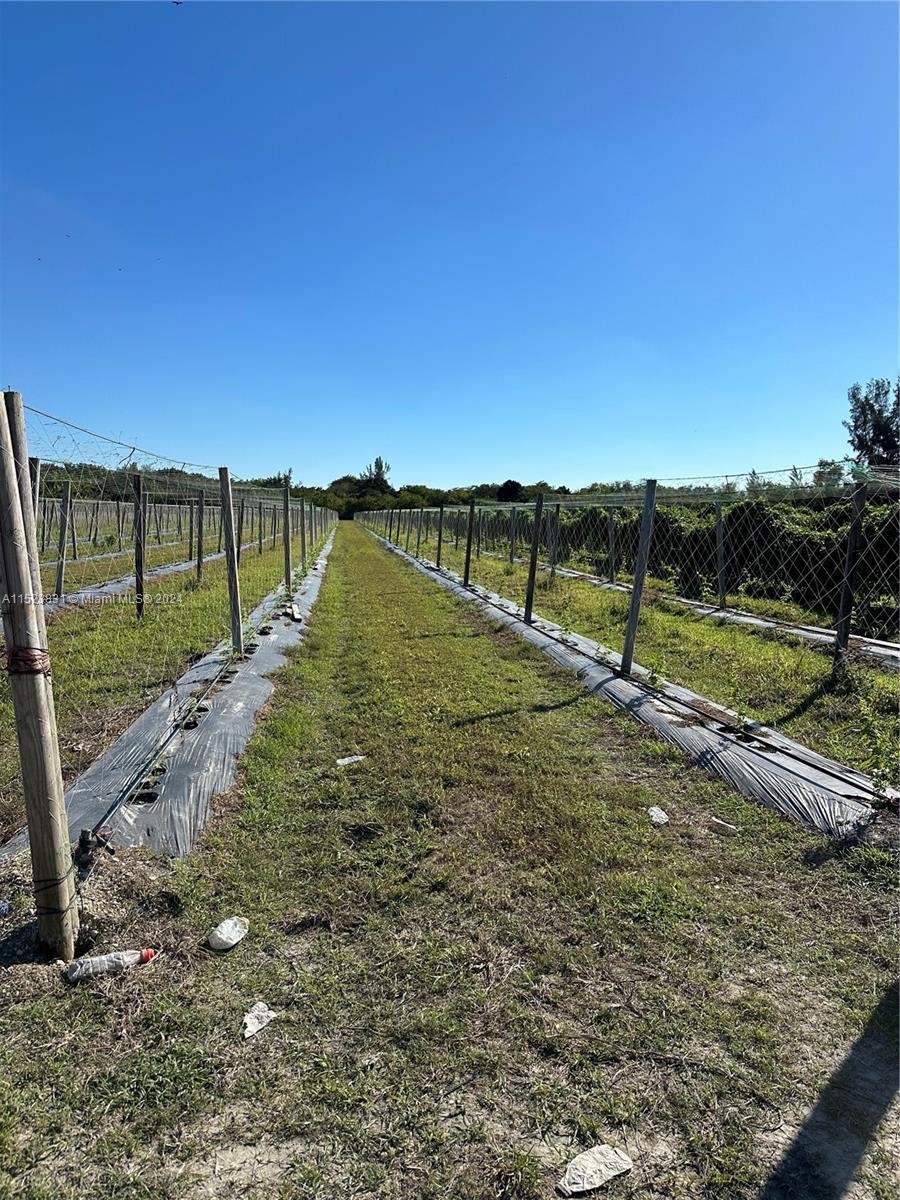 12201 SW 280 St, Homestead, Florida 33033, ,Land,For Sale,12201 SW 280 St,A11523831