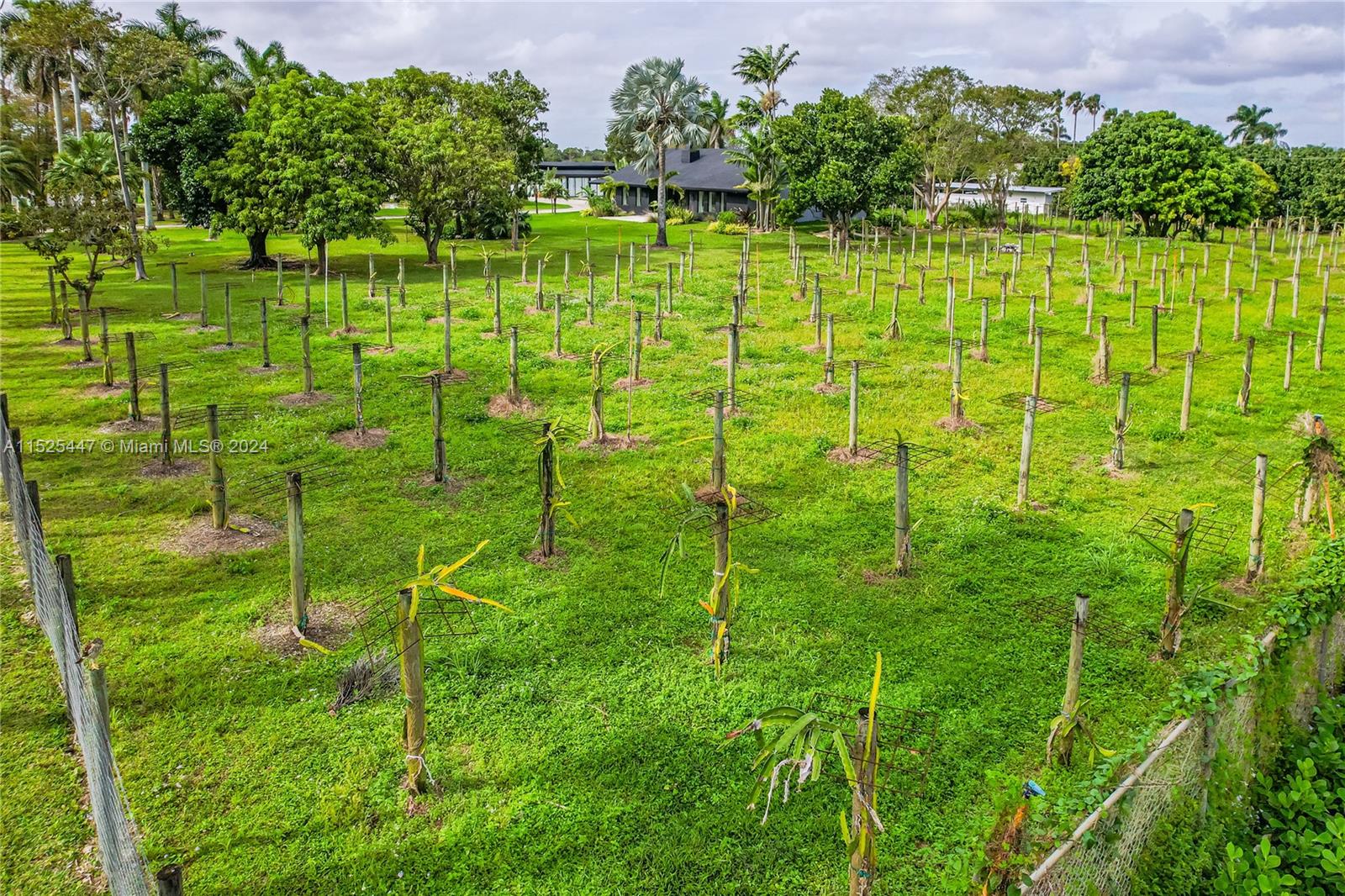 22595 SW 252nd St, Homestead, Florida 33031, 5 Bedrooms Bedrooms, ,4 BathroomsBathrooms,Residential,For Sale,22595 SW 252nd St,A11525447