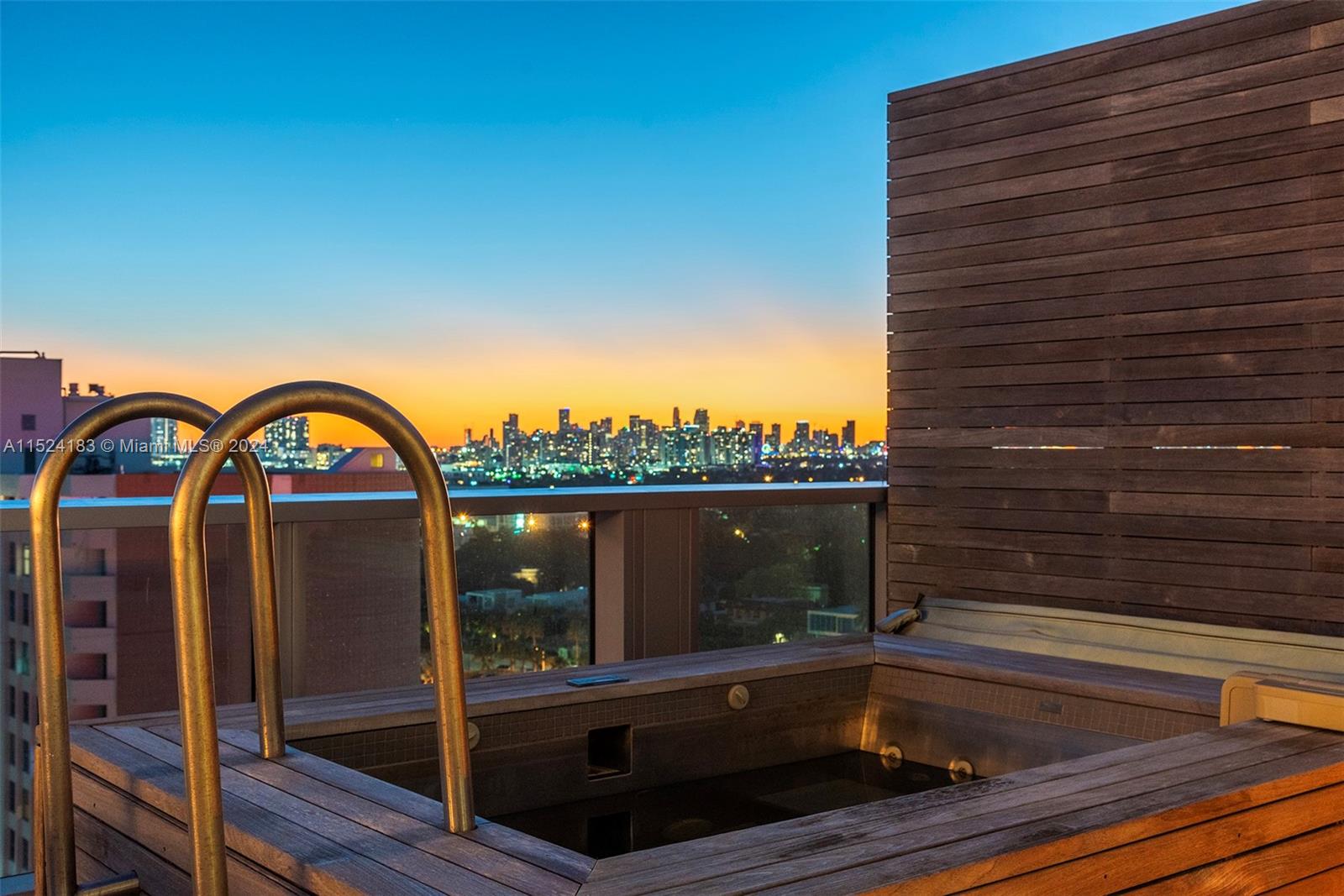 Rooftop with Dining, Lounge, Jacuzzi and Summer Kitchen