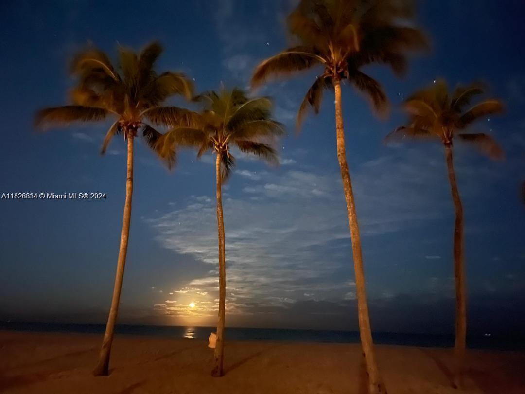 1600 S Ocean Dr 12B, Hollywood, Florida 33019, 2 Bedrooms Bedrooms, ,2 BathroomsBathrooms,Residentiallease,For Rent,1600 S Ocean Dr 12B,A11528314