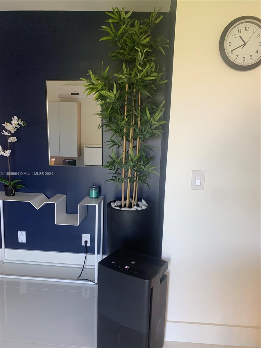 FOYER / ENTRY AREA OF APARTMENT