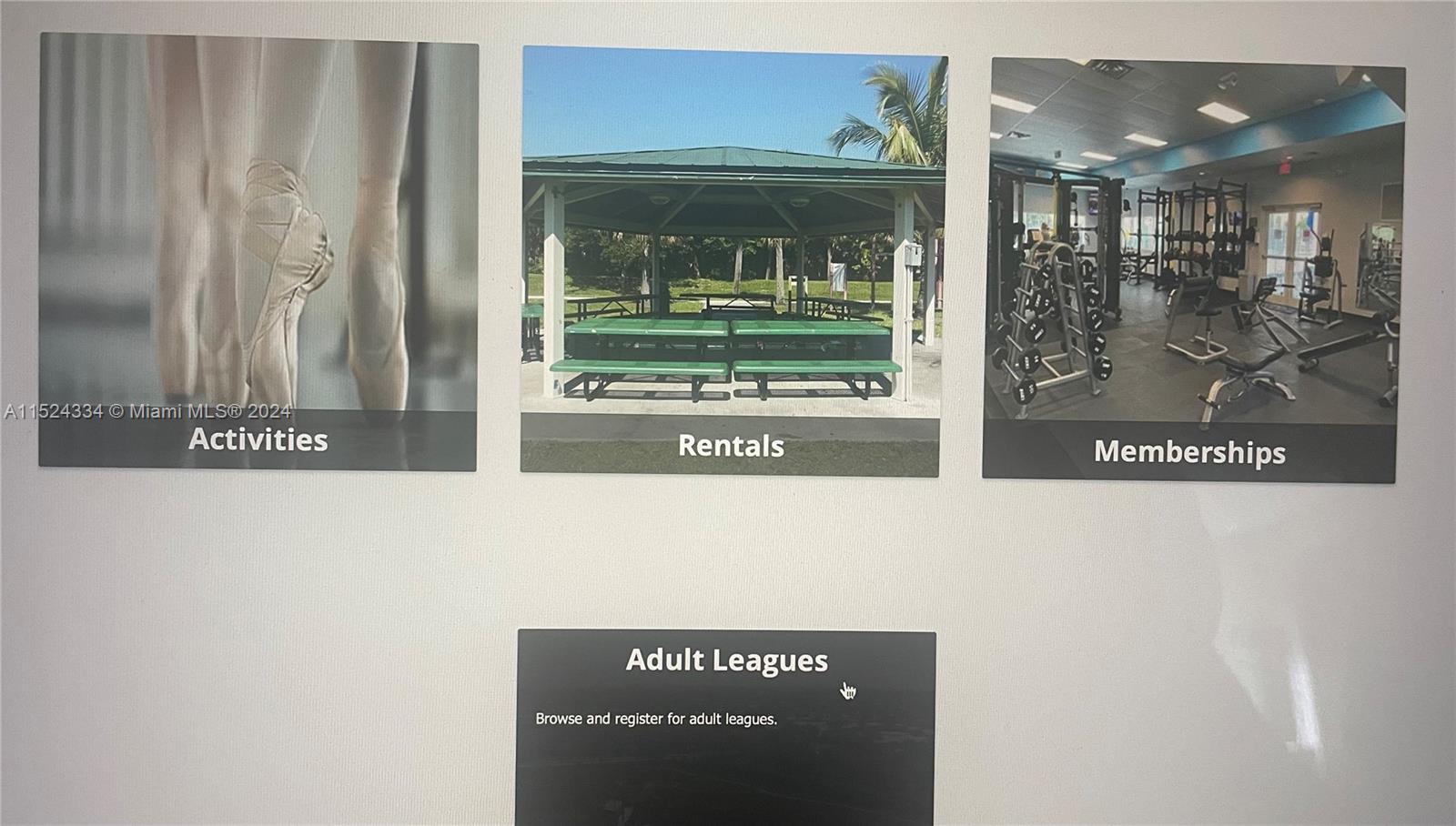 Recreational Activities