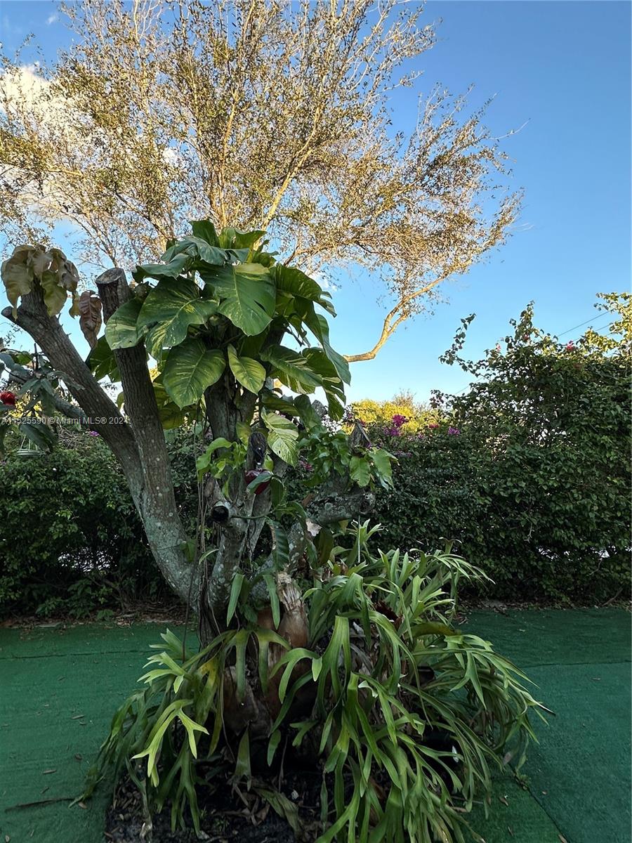 10300 N Miami Ave, Miami Shores, Florida 33150, 4 Bedrooms Bedrooms, ,3 BathroomsBathrooms,Residential,For Sale,10300 N Miami Ave,A11525590