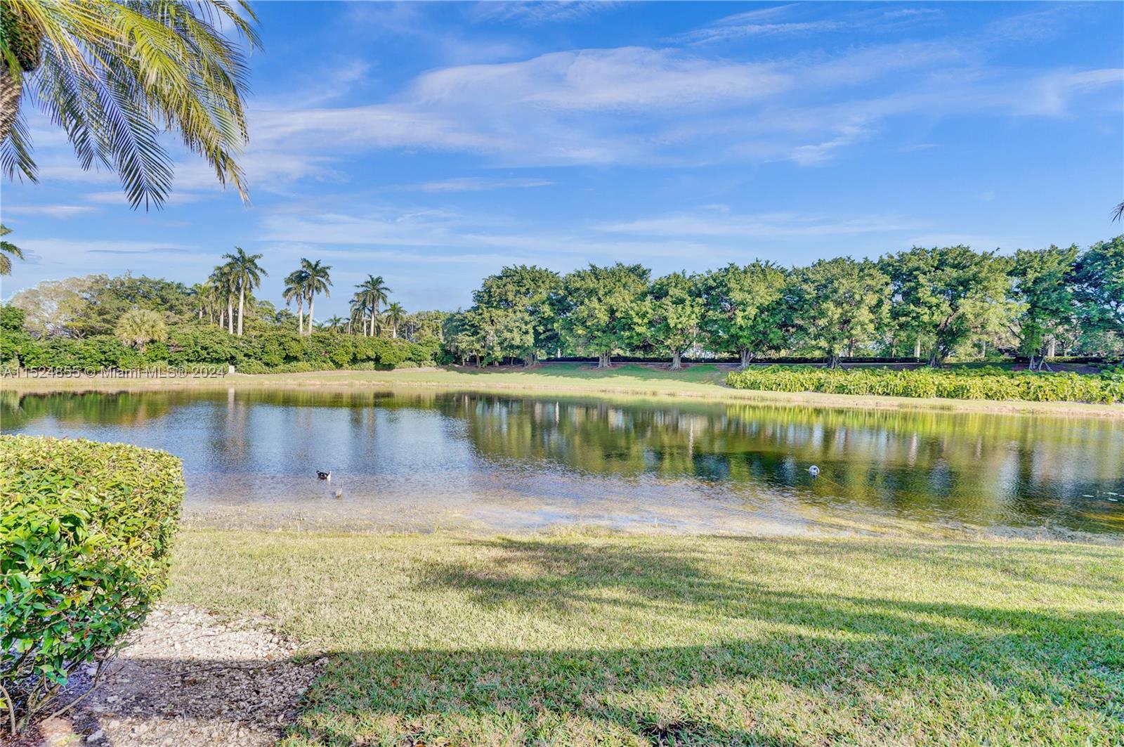 1200 Ginger Cir, Weston, FL, 33326 United States, 5 Bedrooms Bedrooms, ,3 BathroomsBathrooms,Residential,For Sale,Ginger Cir,A11524855