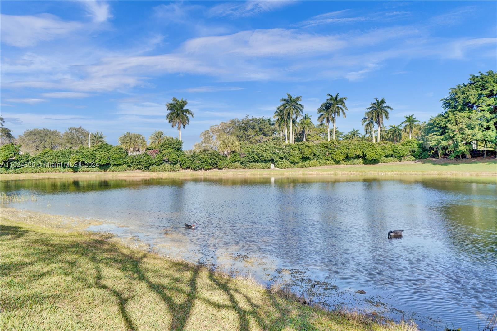 1200 Ginger Cir, Weston, FL, 33326 United States, 5 Bedrooms Bedrooms, ,3 BathroomsBathrooms,Residential,For Sale,Ginger Cir,A11524855