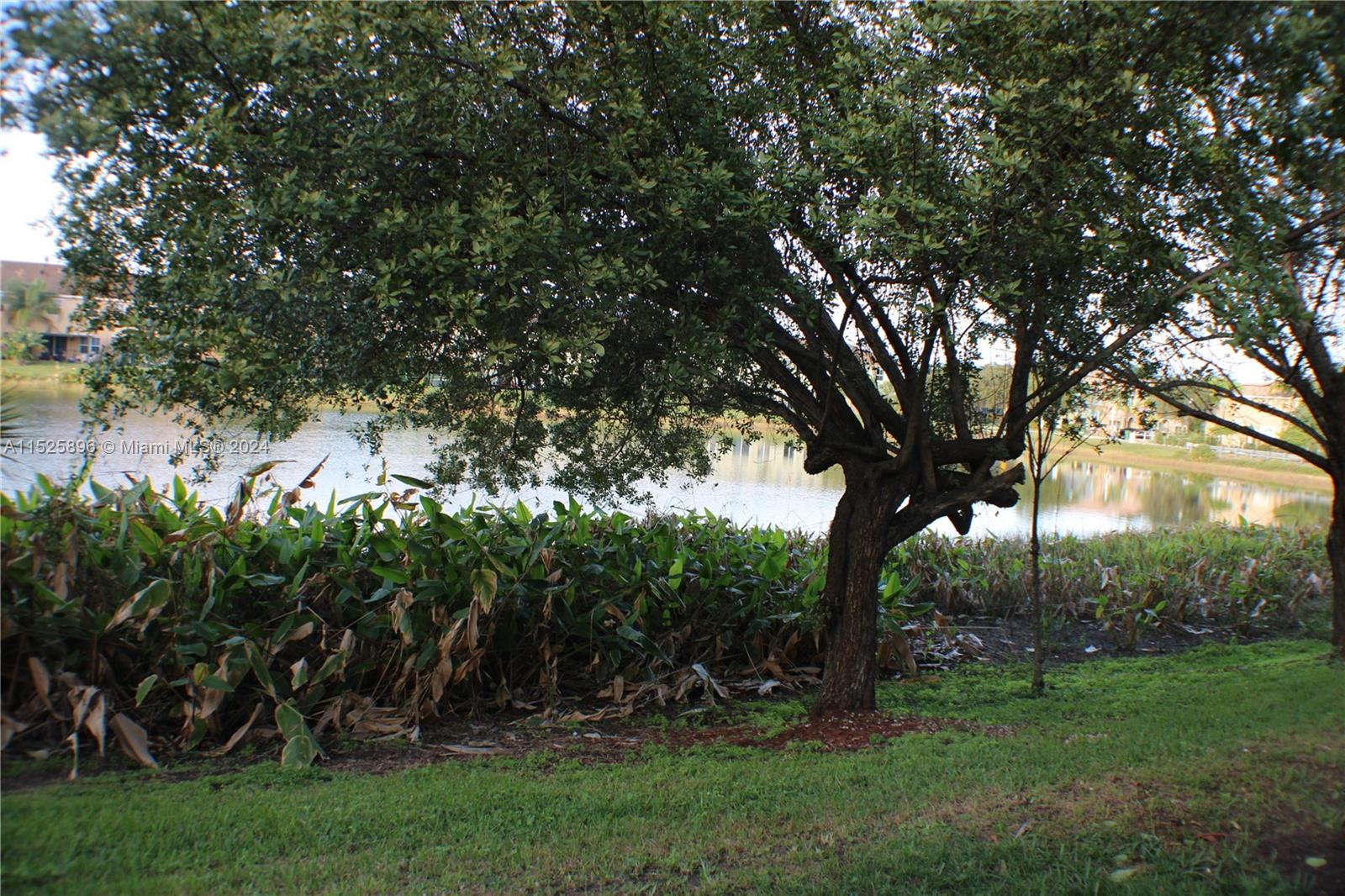 2425 SE 19th St 2425, Homestead, Florida 33035, 3 Bedrooms Bedrooms, ,2 BathroomsBathrooms,Residential,For Sale,2425 SE 19th St 2425,A11525896