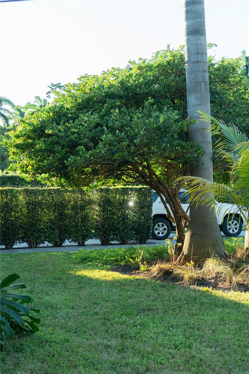 110 NW 87th St, El Portal, Florida 33150, 3 Bedrooms Bedrooms, ,2 BathroomsBathrooms,Residential,For Sale,110 NW 87th St,A11529736