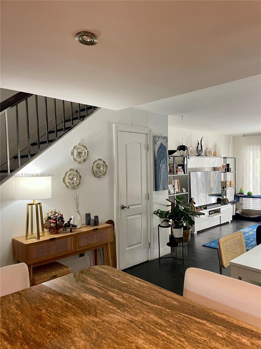 Storage closet under the stairs