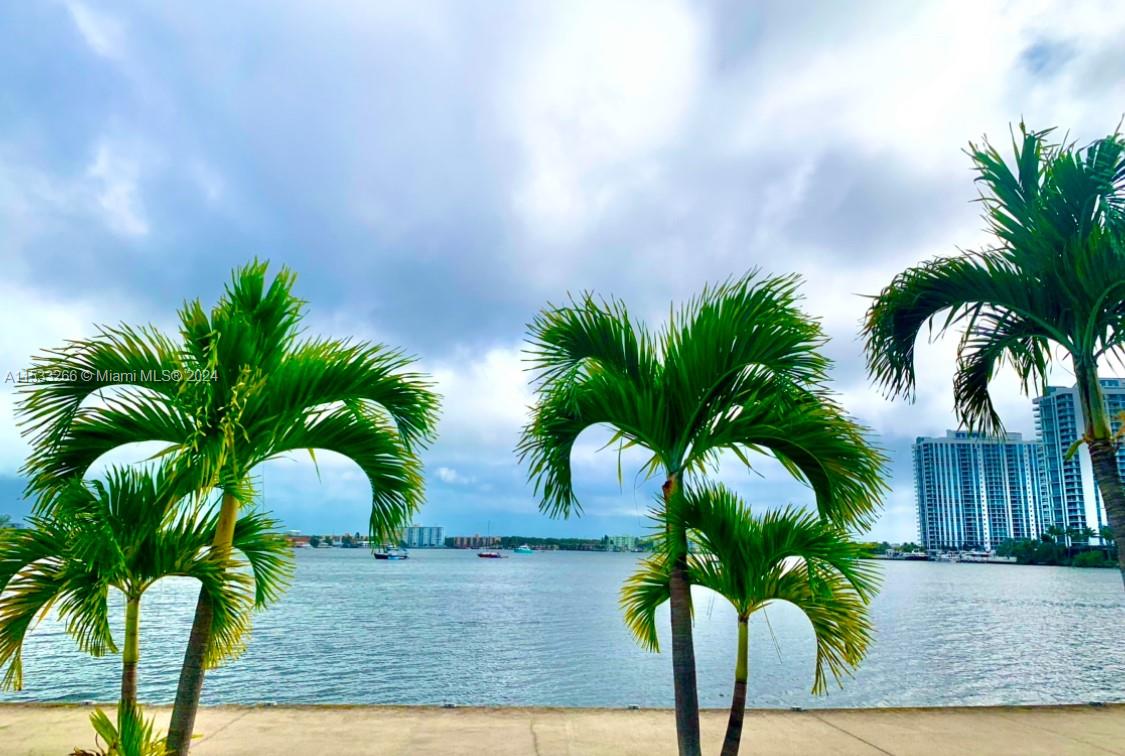NEW  HIGH GLOSS CABINETS & QUARTZ COUNTERTOPS