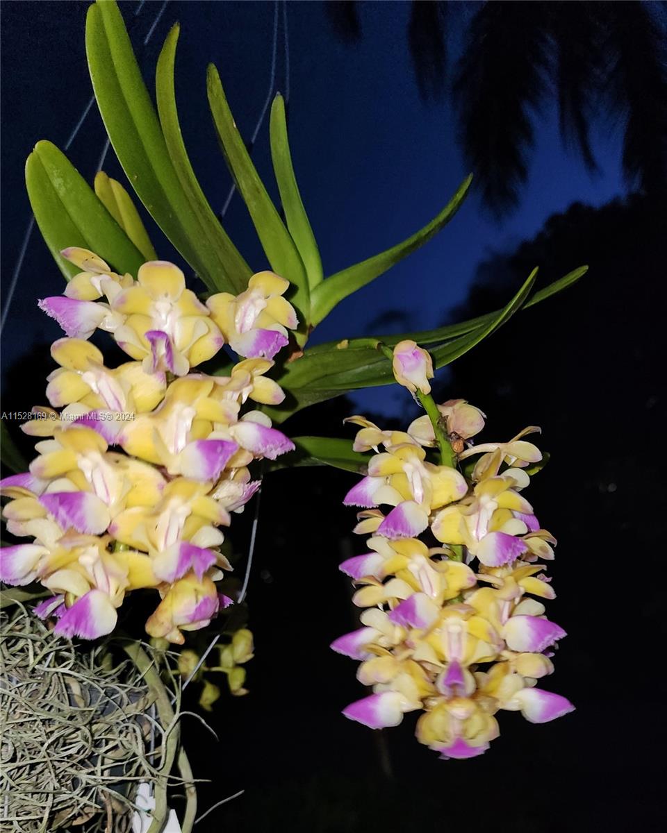 19150 SW 296th St, Homestead, Florida 33030, 3 Bedrooms Bedrooms, ,2 BathroomsBathrooms,Residential,For Sale,19150 SW 296th St,A11528169