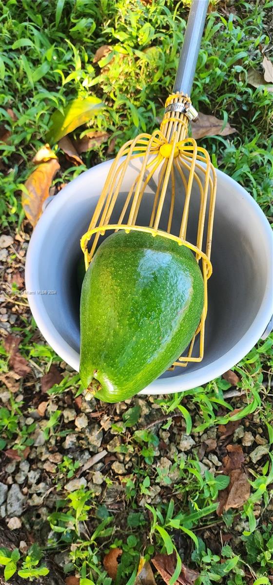 19150 SW 296th St, Homestead, Florida 33030, 3 Bedrooms Bedrooms, ,2 BathroomsBathrooms,Residential,For Sale,19150 SW 296th St,A11528169