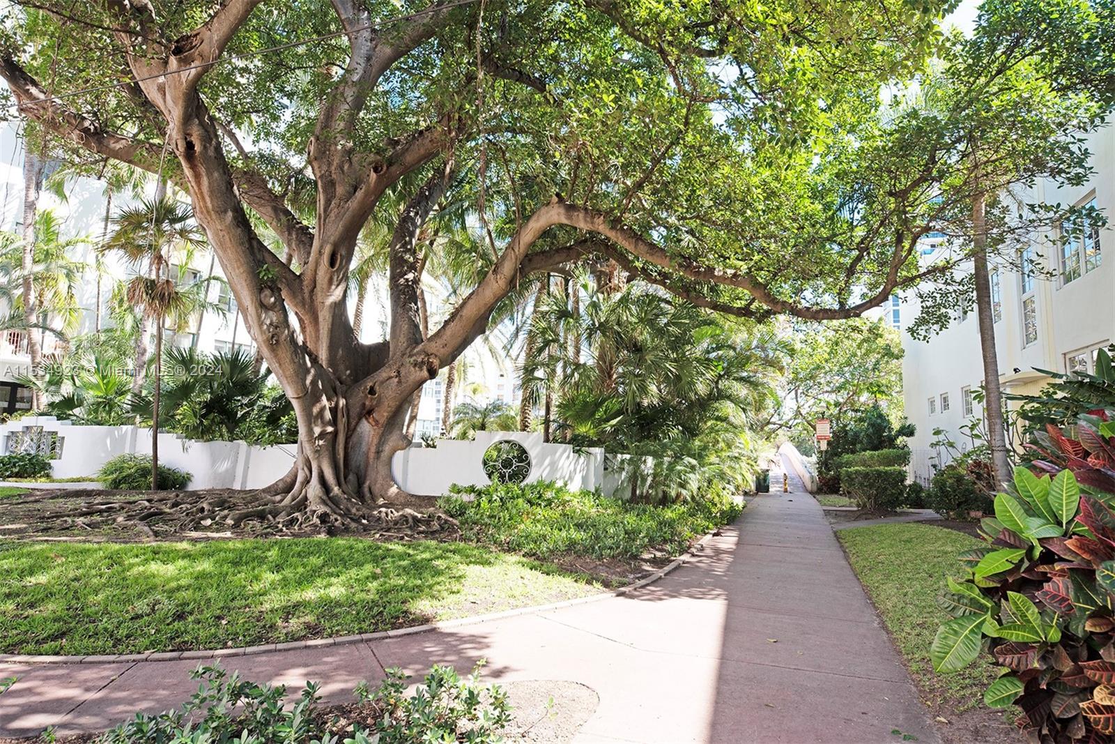 2383 Flamingo Dr 11, Miami Beach, Florida 33140, 3 Bedrooms Bedrooms, ,2 BathroomsBathrooms,Residentiallease,For Rent,2383 Flamingo Dr 11,A11534923