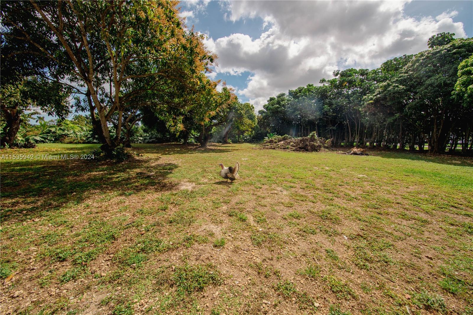 16025 SW 244th St, Homestead, Florida 33031, 5 Bedrooms Bedrooms, ,2 BathroomsBathrooms,Residential,For Sale,16025 SW 244th St,A11535942