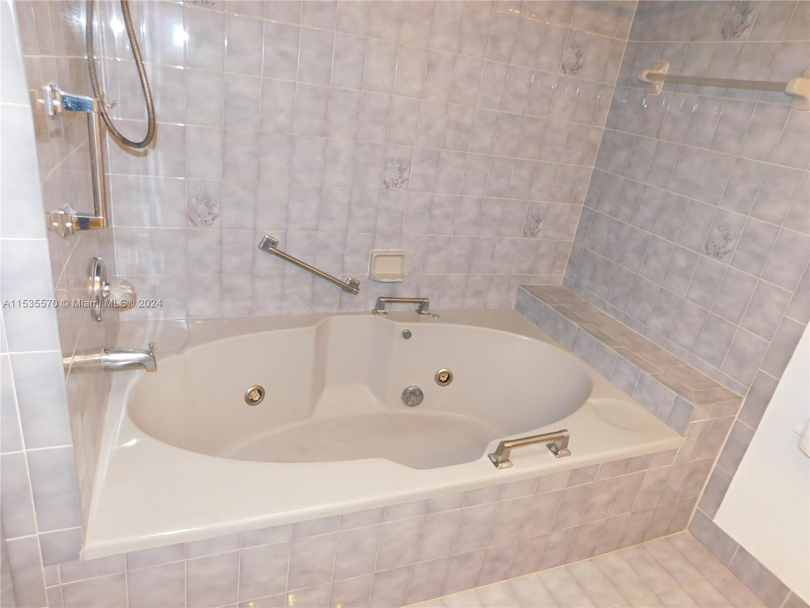Master bath jacuzzi