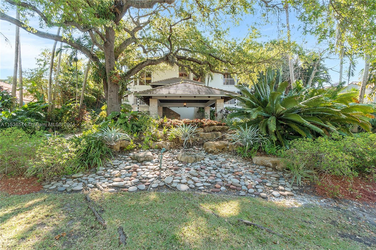 Beautiful large oak and palm lined driveway