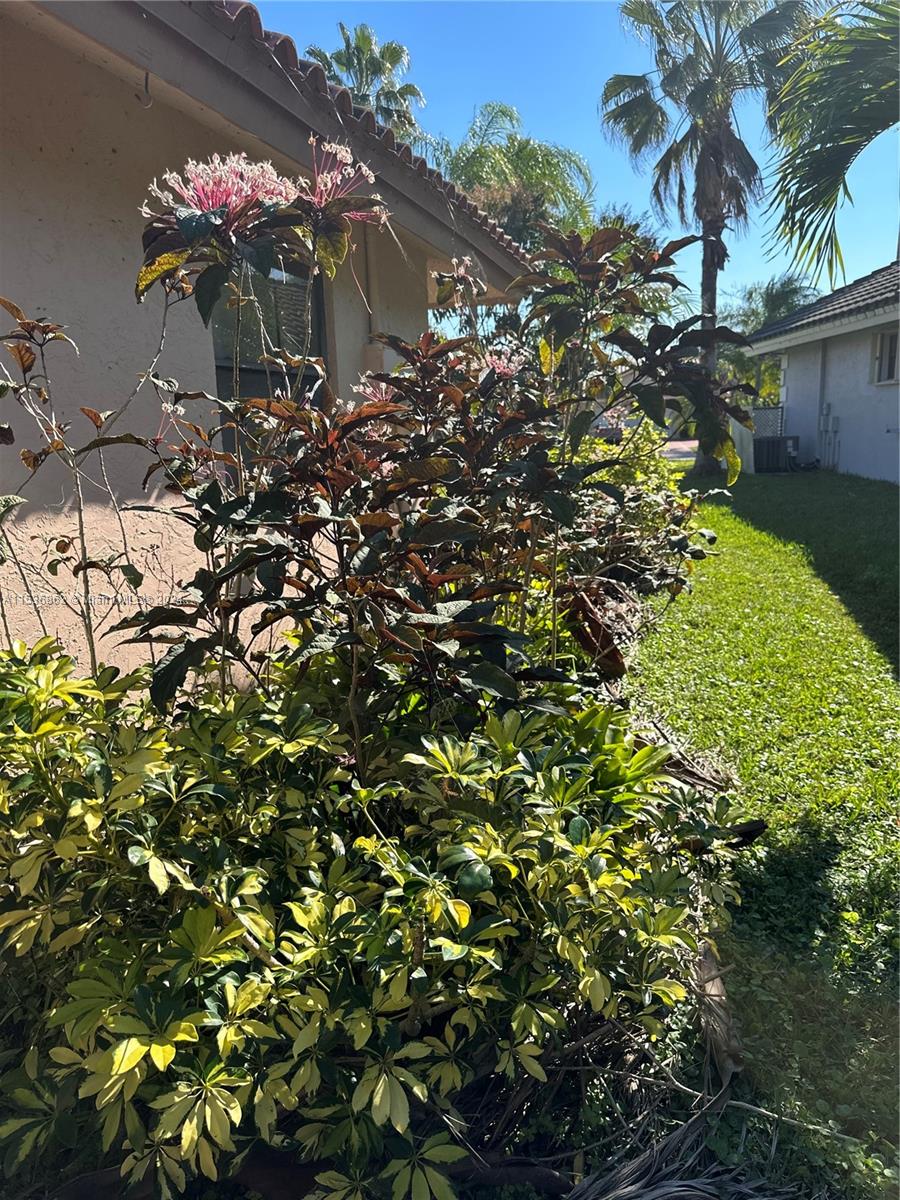 Tamarac, Florida 33321, 4 Bedrooms Bedrooms, ,2 BathroomsBathrooms,Residential,For Sale,A11536862