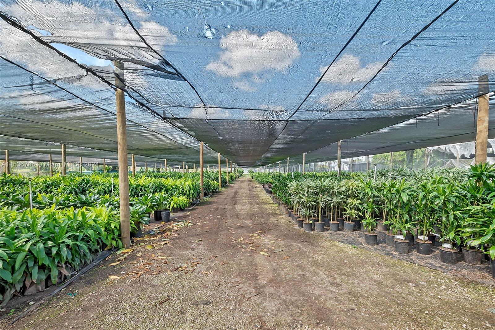 28405 SW 185th Ave, Homestead, Florida 33030, 4 Bedrooms Bedrooms, ,2 BathroomsBathrooms,Residential,For Sale,28405 SW 185th Ave,A11536706