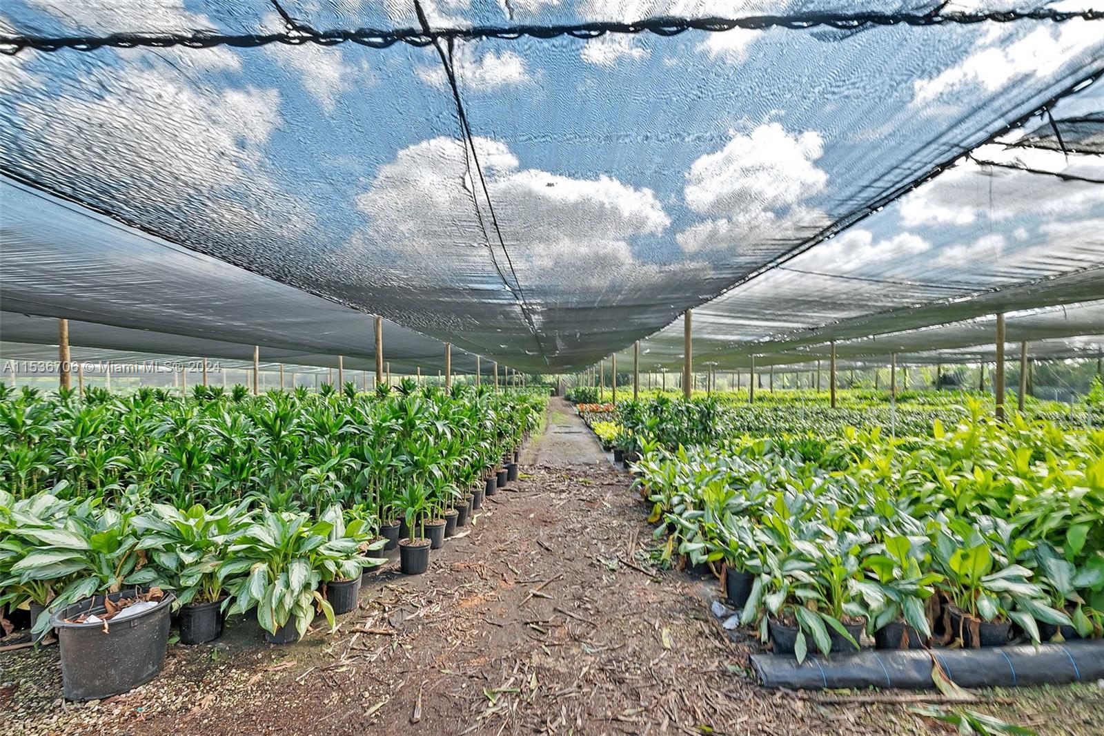 28405 SW 185th Ave, Homestead, Florida 33030, 4 Bedrooms Bedrooms, ,2 BathroomsBathrooms,Residential,For Sale,28405 SW 185th Ave,A11536706