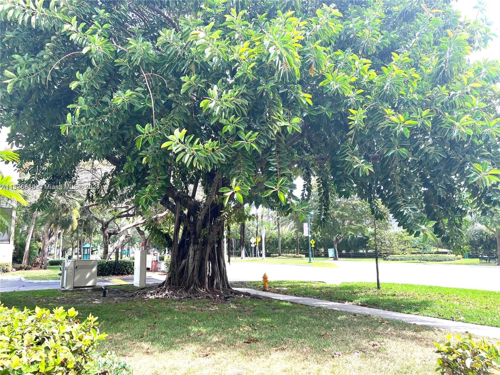 20200 W Country Club Dr 112, Aventura, Florida 33180, 3 Bedrooms Bedrooms, ,2 BathroomsBathrooms,Residential,For Sale,20200 W Country Club Dr 112,A11536846