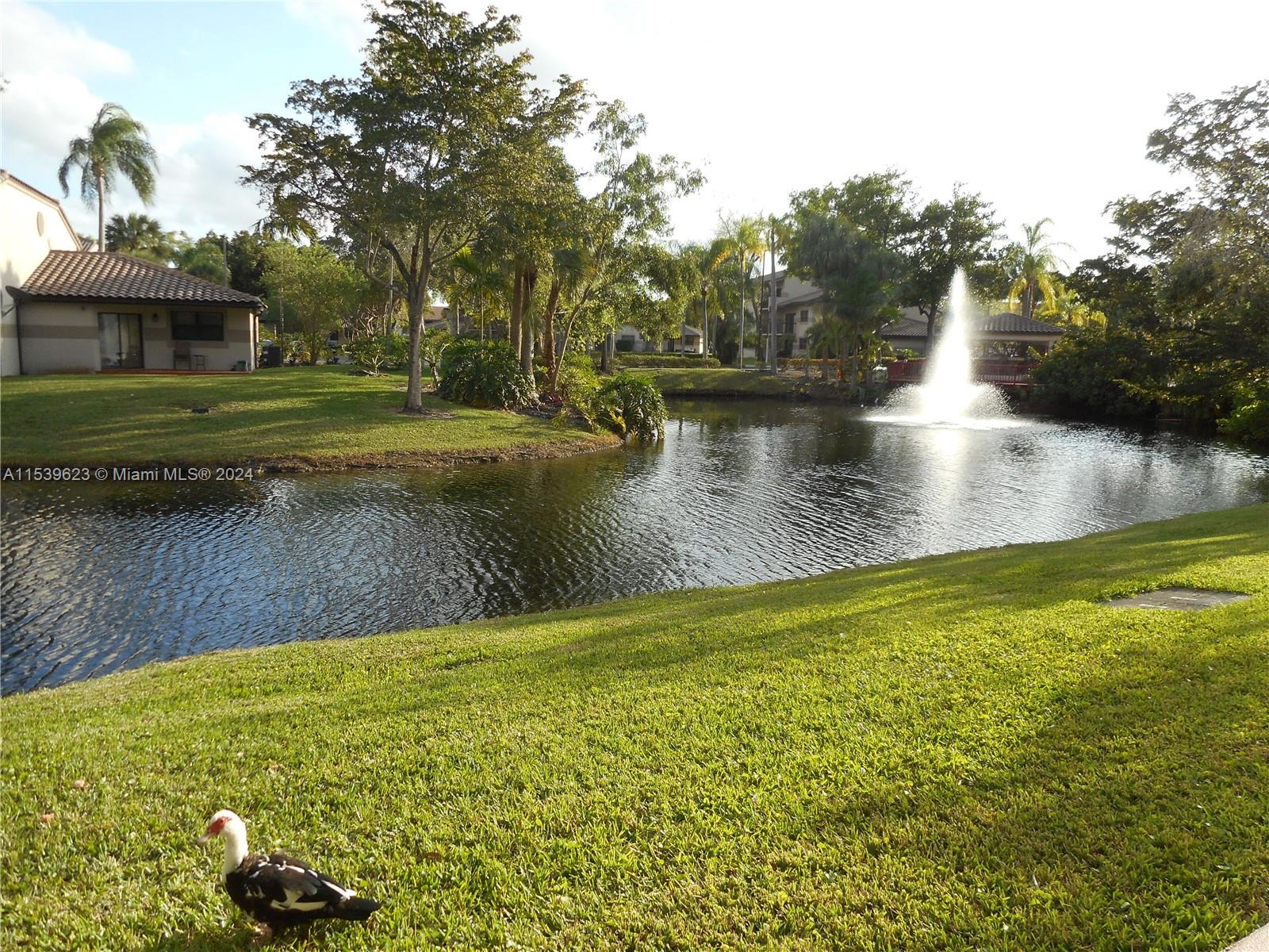 9982 Nob Hill Ln 9982, Sunrise, Florida 33351, 2 Bedrooms Bedrooms, ,2 BathroomsBathrooms,Residentiallease,For Rent,9982 Nob Hill Ln 9982,A11539623