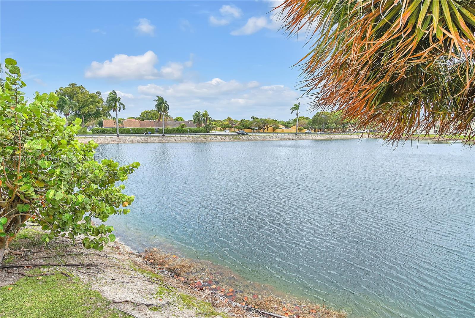 14920 SW 82nd Ln 12-210, Miami, Florida 33193, 1 Bedroom Bedrooms, ,1 BathroomBathrooms,Residential,For Sale,14920 SW 82nd Ln 12-210,A11537050