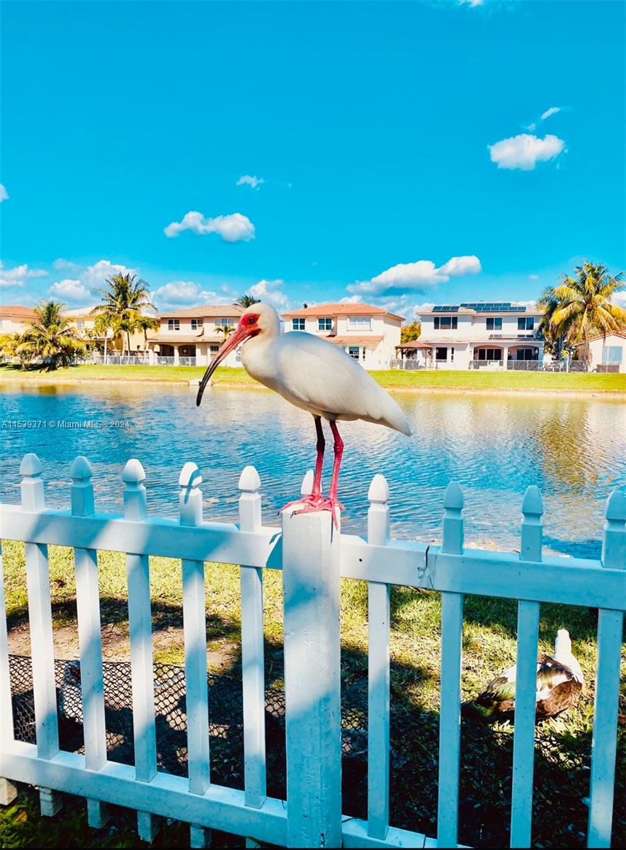 16013 SW 63rd Ter 16013, Miami, Florida 33193, 4 Bedrooms Bedrooms, ,2 BathroomsBathrooms,Residentiallease,For Rent,16013 SW 63rd Ter 16013,A11539371