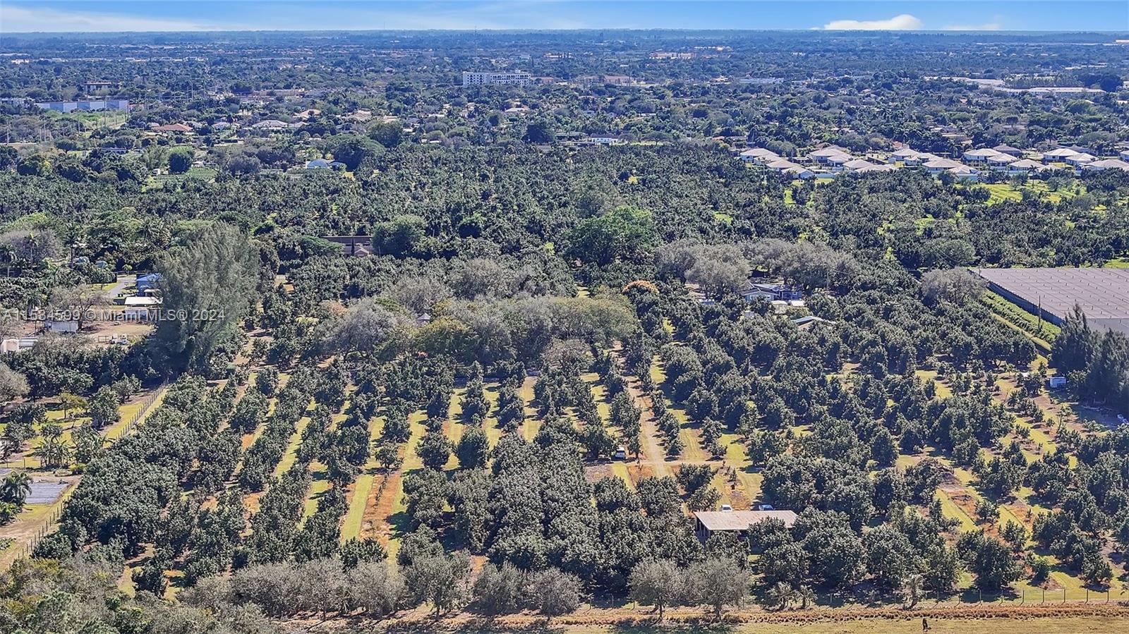 26950 SW 157th Ave, Homestead, Florida 33031, 4 Bedrooms Bedrooms, ,2 BathroomsBathrooms,Residential,For Sale,26950 SW 157th Ave,A11534599