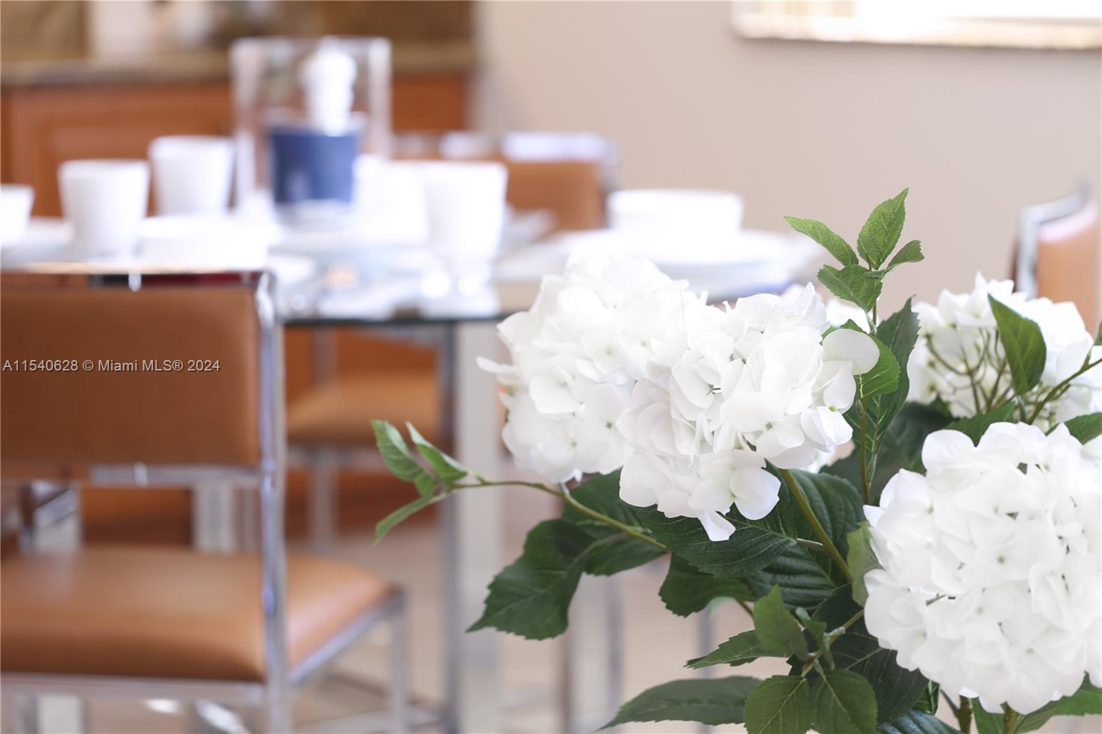 720 Polk St, Hollywood, Florida 33019, 5 Bedrooms Bedrooms, ,4 BathroomsBathrooms,Residentiallease,For Rent,720 Polk St,A11540628