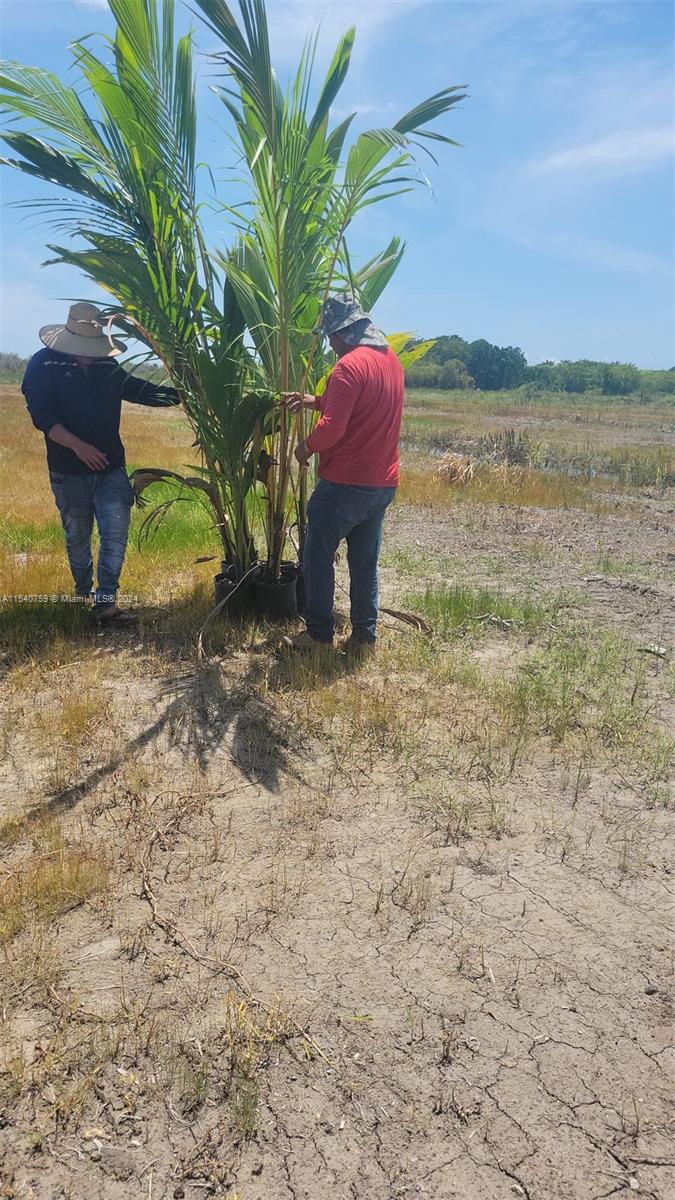 30-78-36-000-0352, Florida City, Florida 33034, ,Land,For Sale, 30-78-36-000-0352,A11540759